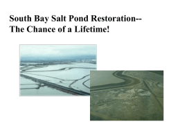 South Bay Salt Pond Restoration-