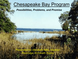 Chesapeake Bay Program - University of Michigan School of