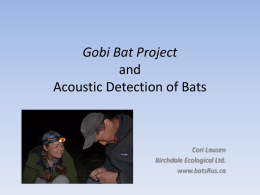 Overview Acoustic Detection of Bats