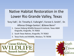 Native Habitat Restoration in the Lower Rio Grande Valley