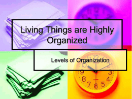 Living Things are Highly Organized