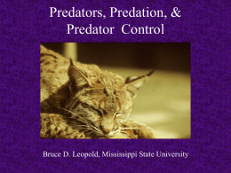 Predator Management- Here We Go Again?