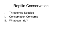 What is CONSERVATION BIOLOGY?