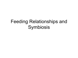 Feeding Relationships and Symbiosis
