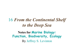 16 From the Continental Shelf to the Deep Sea