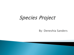 Endangered Species Project.