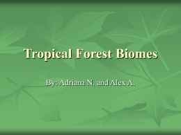 Tropical Forest Biomes