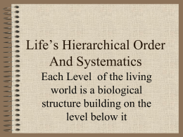 Life’s Hierarchical Order - Whitehall District Schools