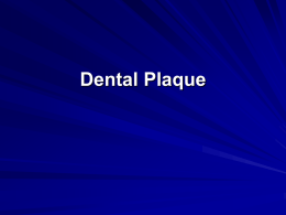 Dental Plaque - Dentalstudymaterial Blog