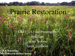 Prairie Restoration