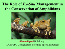 On the Role of Ex-Situ Management in the Conservation of