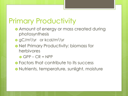 Primary productivity