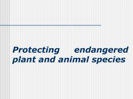 Protecting endangered plant and animal species