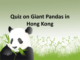Quiz on Giant Pandas