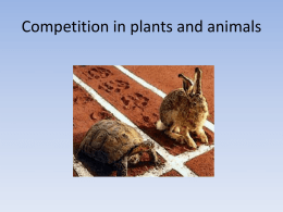 Competition in plants and animals