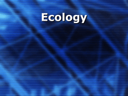 Ecological Niche - NCEA Level 3 Biology