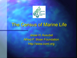 Census of Marine Life - Rockefeller University