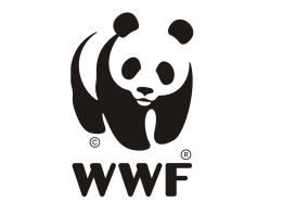 Folie 1 - WWF