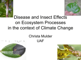 Disease and Insect Effects on Ecosystem Processes
