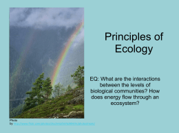 Principles of Ecology - H.S.H.P. Biology
