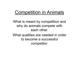 Competition in Animals