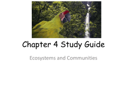 Chapter 4 Study Guide - Downtown Magnets High School