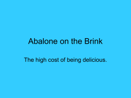 Abalone on the Brink - :: CENTER FOR MARINE BIODIVERSITY