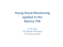 Using YSM-based MSYTs in the Morice TSR