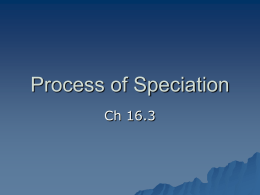 Process of Speciation - James Monroe High School