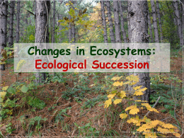 Ecological Succession Powerpoint