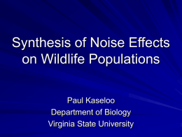 Synthesis of Noise Effects on Wildlife Populations