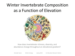 Winter Invertebrate Richness as a Function of Elevation