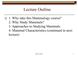 Mammal Characteristics Why Study Mammals? Approaches to