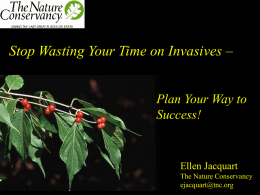 Invasive Plant Species and Their Control