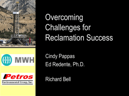 Overcoming Challenges for Reclamation Success