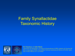 Family Synallactidae
