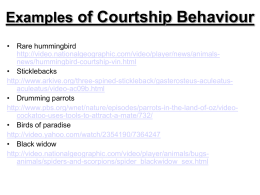 Examples of Courtship Behaviour
