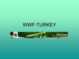 WWF-TURKEY - Qatar University