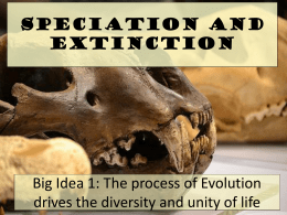 Speciation and Extinction - Downtown Magnets High School
