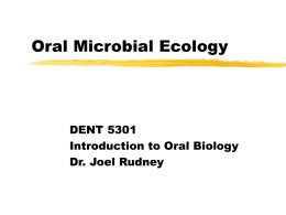 Oral Microbial Ecology - University of Minnesota