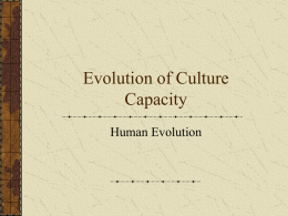 Evolution of Culture Capacity - Palomar Community College