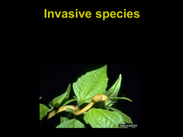 The problem with invasive species