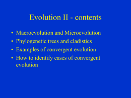 Evolution II - contents - Chittka Lab
