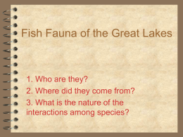 Fish Fauna of the Great Lakes