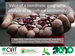 Value of a coordinate: geographic analysis of agricultural