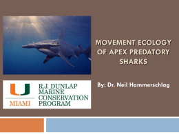 Shark Behavioral Ecology