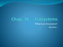 Chap. 16 Ecosystems