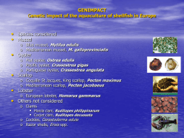 GENIMPACT Genetic impact of the aquaculture of shellfish