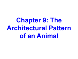 Chapter 9: The Architectural Pattern of an Animal
