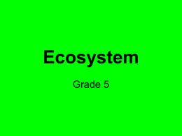 Ecosystem - Longview Independent School District